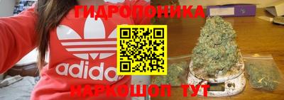 гидропоника Кимры