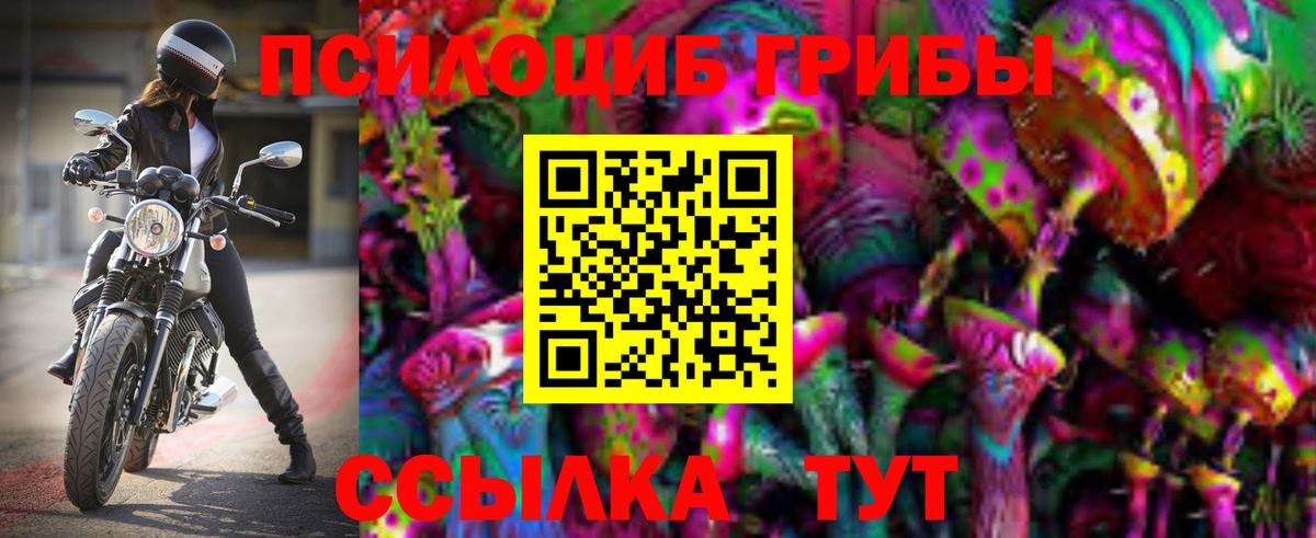 Галлюциногенные грибы GOLDEN TEACHER Королёв